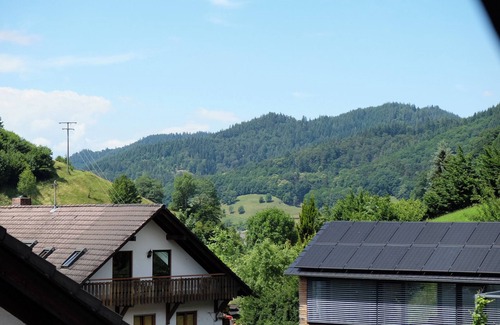 Untermunstertal Apartment | Holiday Apartment 'Mühlefelsen, Type B' with Mountain View, Balcony and Wi-Fi in Münstertal