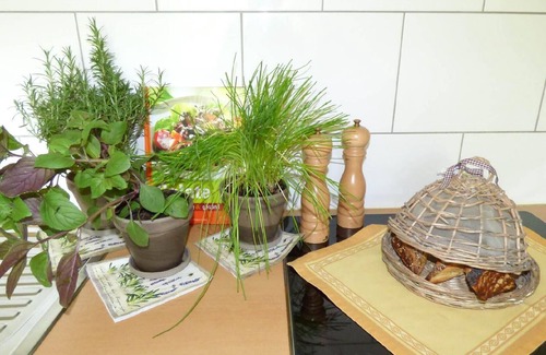 Mayschoss House | Holiday apartment Mayschoß for 1 - 4 persons with 2 bedrooms - Holiday house