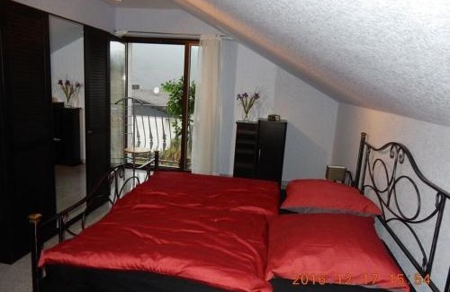 Enkirch Apartment | Holiday apartment Moselle Panorama