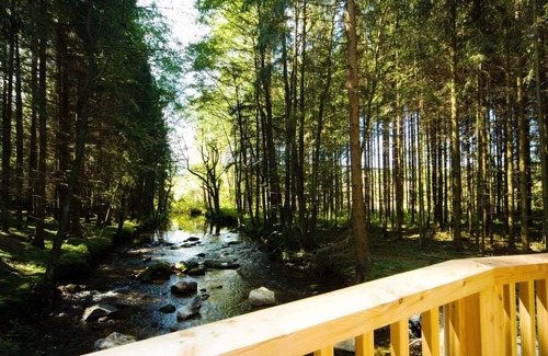 Regen Apartment | Holiday apartment Regen for 1 - 2 persons - Holiday apartment