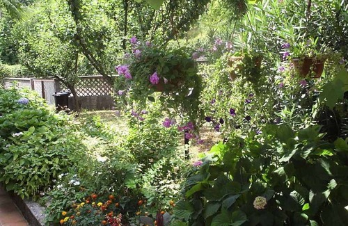 Opric Apartment | Holiday apartment with air conditioning