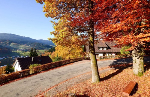 Bad Peterstal-Griesbach Apartment | Holiday apartment Fürstenkopf - Apartment Fürstenkopf