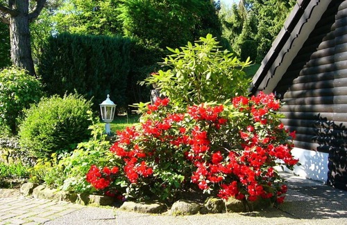 Vielbrunn Apartment | Holiday home Country House Kathy
