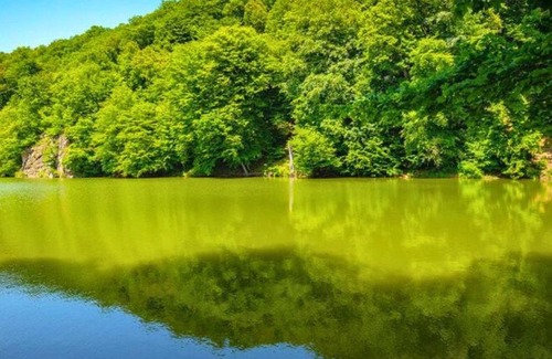 Dilijan Hotel | Holiday Dream Hotel Dilijan