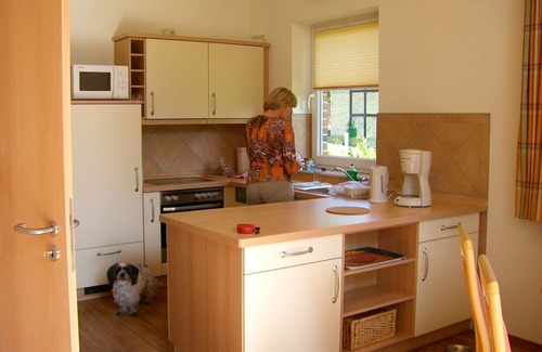 Wenkendorf House | Holiday house for 5 guests with 70m² in Fehmarn OT Wenkendorf (12294)