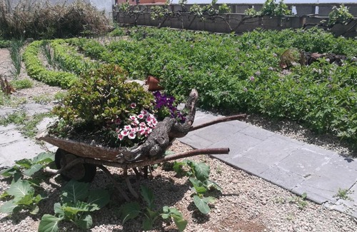 El Roque Apartment | Holiday Home 4 Esquinas
