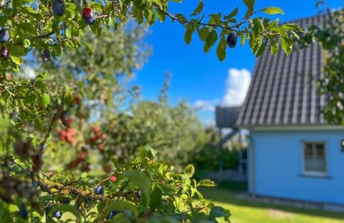 Freest Apartment | Holiday Home Blu Hus