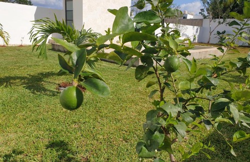 Merida Municipality House | Holiday home Casa Antonio Merida