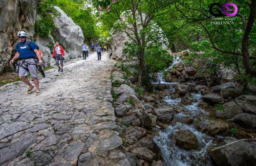 Starigrad House | Holiday home Cvita