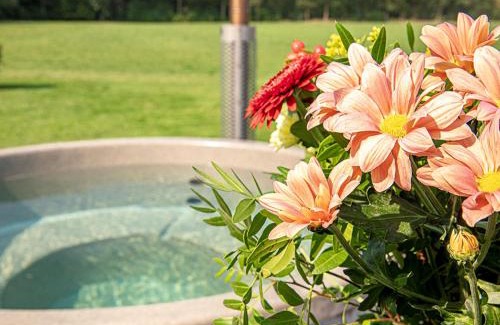 Losser House | Holiday Home De Regenboog by Interhome