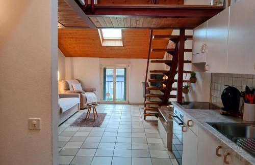 Quartino Apartment | Holiday Home Dragonfly