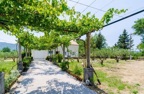 Konavle House | Holiday Home Field of Olives - Two Bedroom Holiday Home with Terrace
