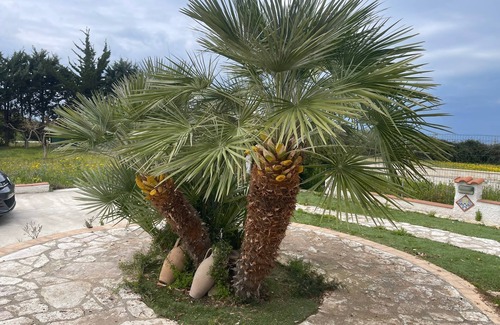 Sciacca House | Holiday Home 'Fiori Di Campo' with Sea View, Private Terrace and Wi-Fi