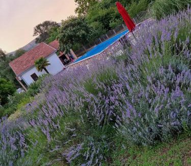 Slipcici House | Holiday Home Harmony