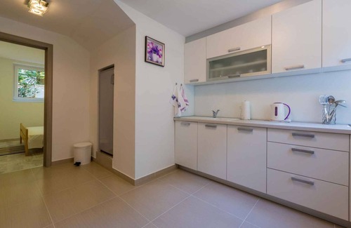 Novi Vinodolski House | Holiday home with the pool and with 6 bedrooms