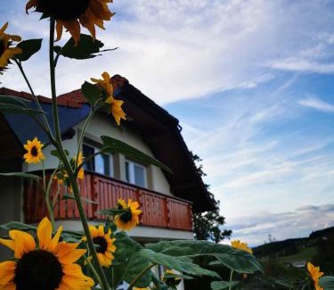 Dvor House | Holiday home in Dvor Kranjska Krain 42901