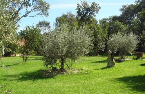 Poggio-Mezzana House | Holiday Home in Corsica near the Beach
