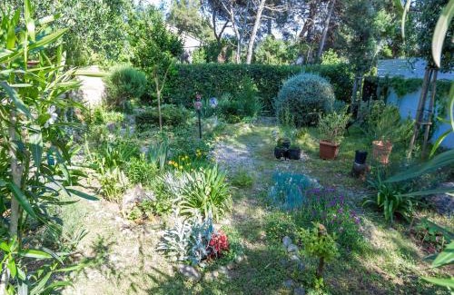Molat House | Holiday Home in Molat with Pool