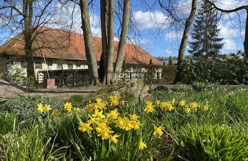 Eschede House | Holiday home in the Lüneburg Heath