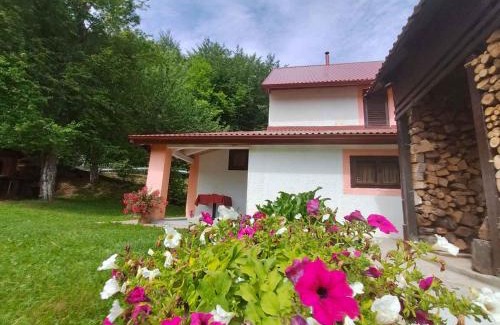 Trnovac House | Holiday home in Trnovac 17132