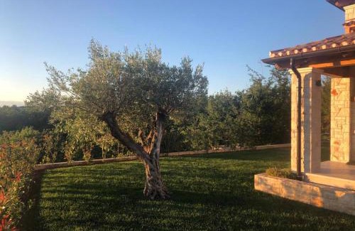 Strpacici Villa | Holiday home in Visnjan - Istrien 41014