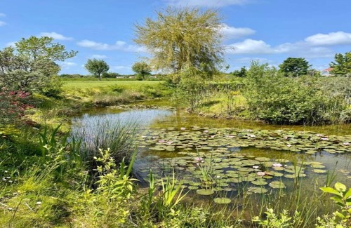 Municipality of Veere House | Holiday Home in Vrouwenpolder Near Beach