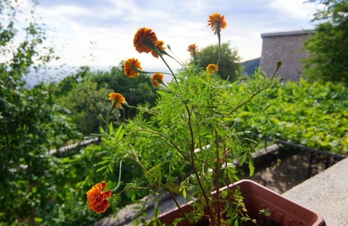 Kuljace House | Holiday home Marta