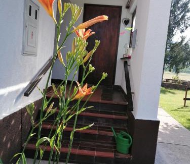Lovinac House | Holiday Home Nada i Milan