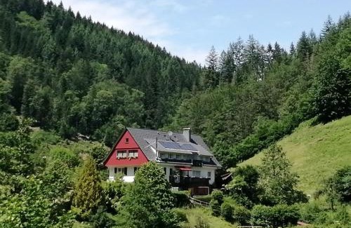 Oppenau Apartment | Holiday home near the forest in Oppenau