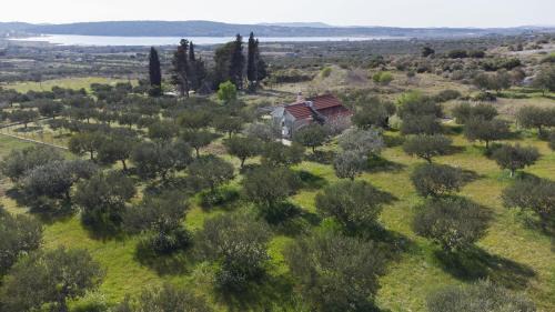 Donje Polje House | Holiday home Olive
