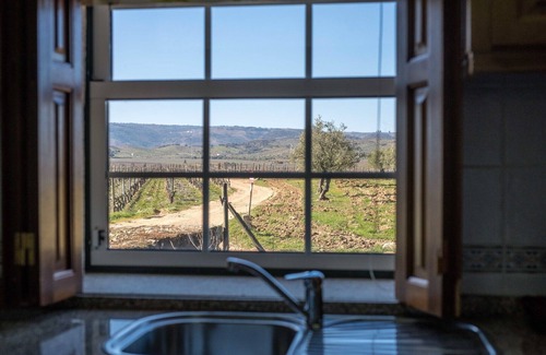 Vila Flor House | Holiday home on estate with vineyards, olive groves and swimming pool