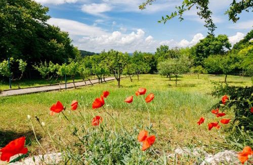 Tihany House | Holiday Home Romantica by Interhome