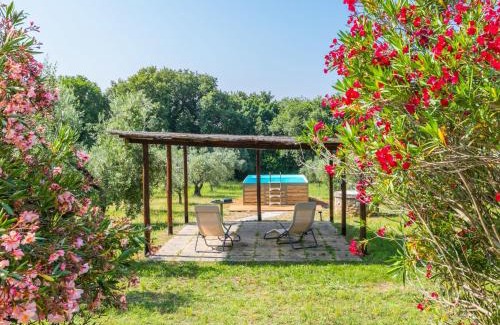 Bibbona House | Holiday Home Rustico by Interhome