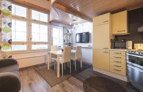 Tahkovuori Apartment | Holiday Home Tintintaival