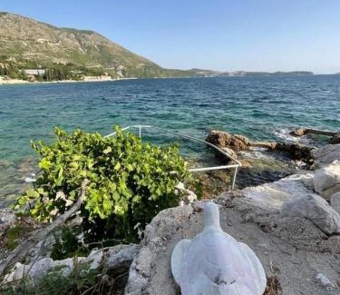 Zupa dubrovacka Apartment | Holiday House Barka
