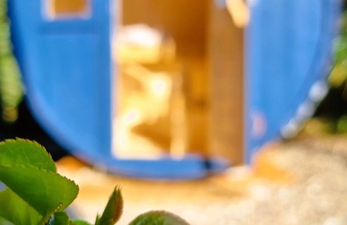 Loissin House | Holiday house by the sea - BlueNote Loissin