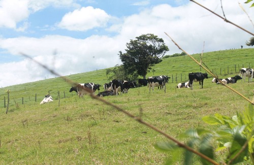 Pacuare Reserve House | Holiday House Cipreses