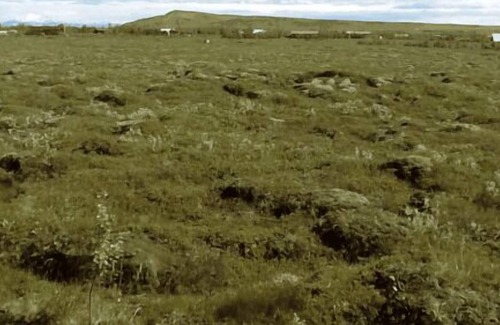 Selfoss House | Holiday house Grimsnes for 1 - 5 persons with 2 bedrooms - Holiday home