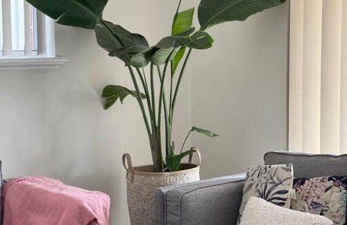 Bayonet Head House | Holiday House in Albany