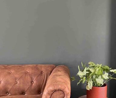 Bayonet Head House | Holiday House in Albany