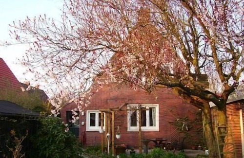 Norden House | Holiday house Norden for 1 - 5 persons with 3 bedrooms - Holiday home