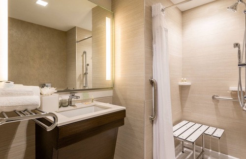 Boerum Hill Hotel | Holiday Inn Brooklyn Downtown by IHG