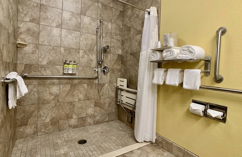 North Charleston Hotel | Holiday Inn Express & Suites Charleston-Ashley Phosphate by IHG