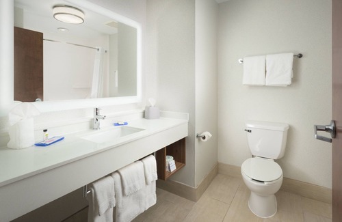 Downtown Chattanooga Hotel | Holiday Inn Express Hotel & Suites Chattanooga Downtown by IHG