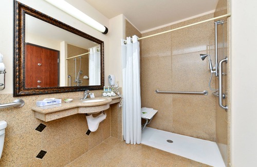 Mesilla Park Hotel | Holiday Inn Express Hotel and Suites Las Cruces by IHG