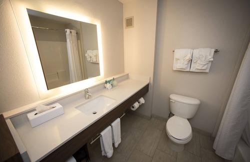 Lexington Hotel | Holiday Inn Express Hotel & Suites Lexington-Downtown by IHG