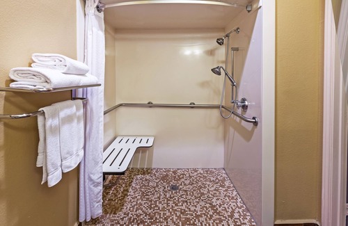 Central Business District Hotel | Holiday Inn Express Hotel & Suites Houston-Downtown Conv Ctr by IHG