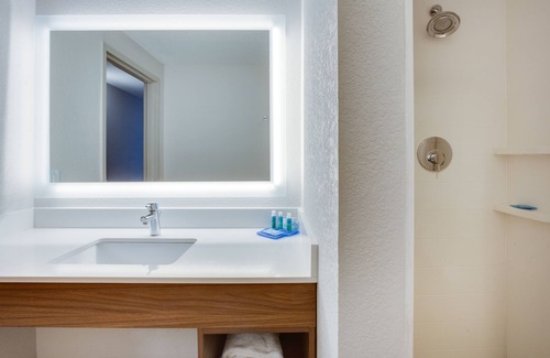 Tampa Hotel | Holiday Inn Express Hotel & Suites Tampa-Fairgrounds-Casino by IHG
