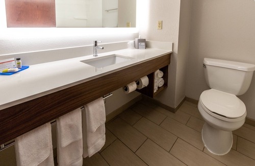 Tupelo Hotel | Holiday Inn Express Hotel & Suites Tupelo by IHG