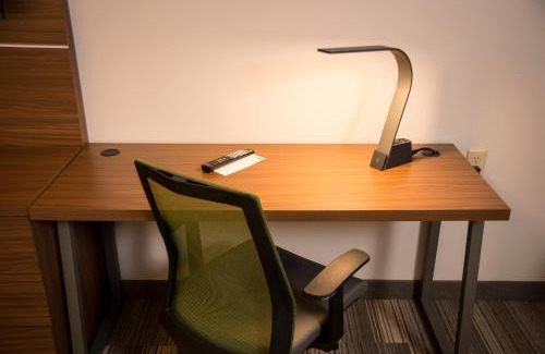Lexington Hotel | Holiday Inn Express Hotel & Suites Lexington-Downtown University by IHG